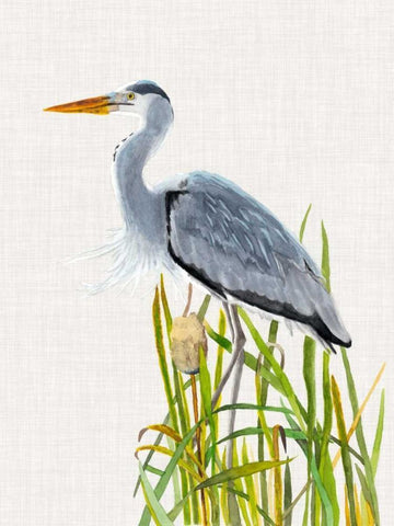 Waterbirds and Cattails II Black Ornate Wood Framed Art Print with Double Matting by McCavitt, Naomi