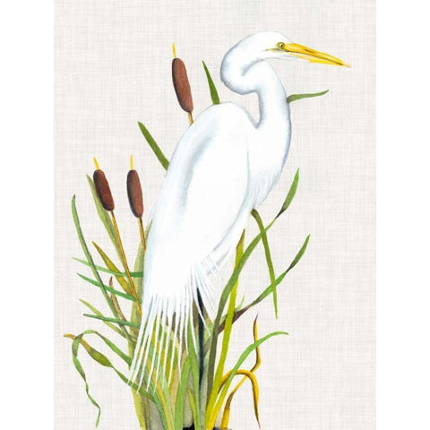 Waterbirds and Cattails III Gold Ornate Wood Framed Art Print with Double Matting by McCavitt, Naomi