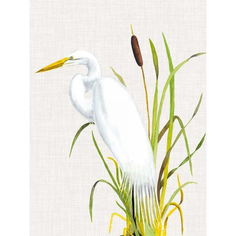 Waterbirds and Cattails IV Black Modern Wood Framed Art Print with Double Matting by McCavitt, Naomi