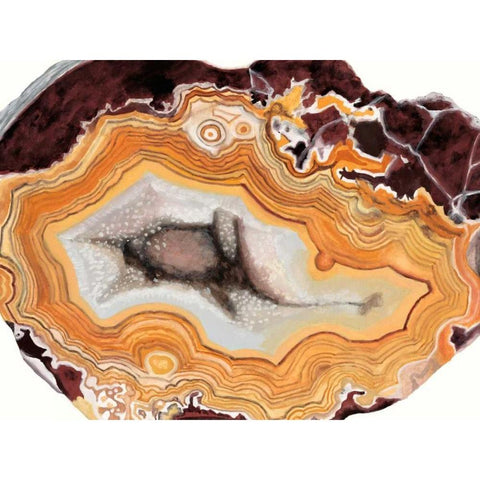 Agate Studies III White Modern Wood Framed Art Print by McCavitt, Naomi