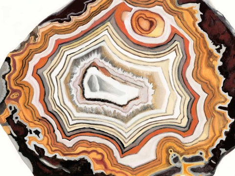 Agate Studies IV White Modern Wood Framed Art Print with Double Matting by McCavitt, Naomi