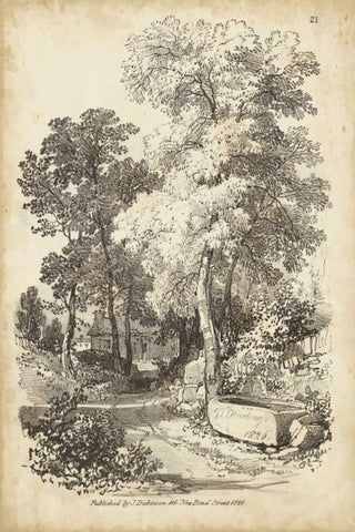 Noble Tree I Black Ornate Wood Framed Art Print with Double Matting by Harding, J.D.