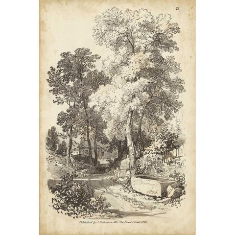 Noble Tree I White Modern Wood Framed Art Print by Harding, J.D.