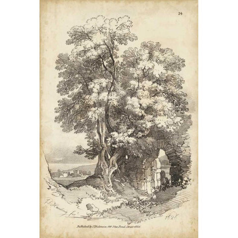 Noble Tree II Black Modern Wood Framed Art Print with Double Matting by Harding, J.D.