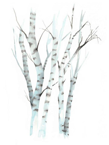 Aquarelle Birches II White Modern Wood Framed Art Print with Double Matting by Popp, Grace