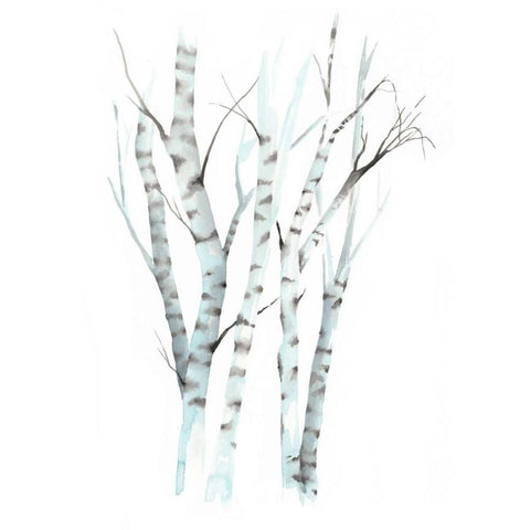 Aquarelle Birches II White Modern Wood Framed Art Print by Popp, Grace