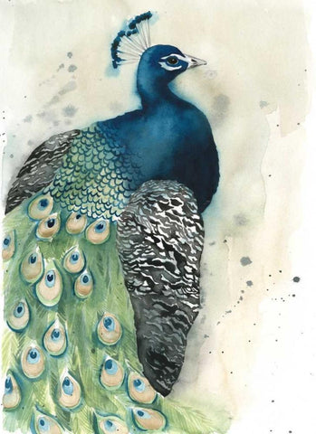 Watercolor Peacock Portrait I White Modern Wood Framed Art Print with Double Matting by Popp, Grace