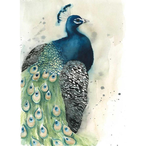Watercolor Peacock Portrait I Gold Ornate Wood Framed Art Print with Double Matting by Popp, Grace