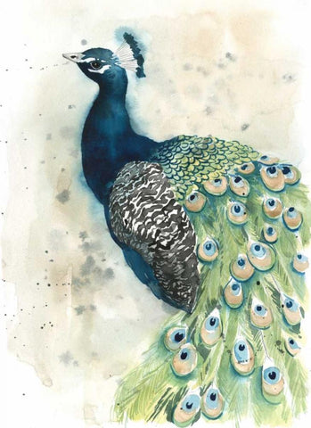 Watercolor Peacock Portrait II White Modern Wood Framed Art Print with Double Matting by Popp, Grace