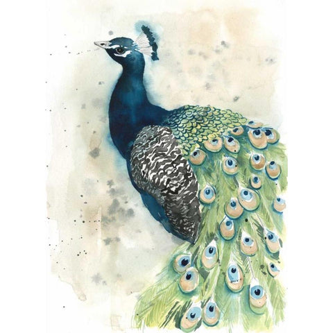 Watercolor Peacock Portrait II Black Modern Wood Framed Art Print with Double Matting by Popp, Grace