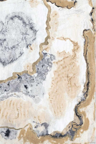 Cinder and Smoke II Black Ornate Wood Framed Art Print with Double Matting by Lam, Vanna