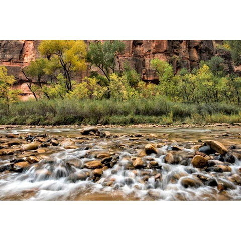 Rocky Bottom Gold Ornate Wood Framed Art Print with Double Matting by Head, Danny