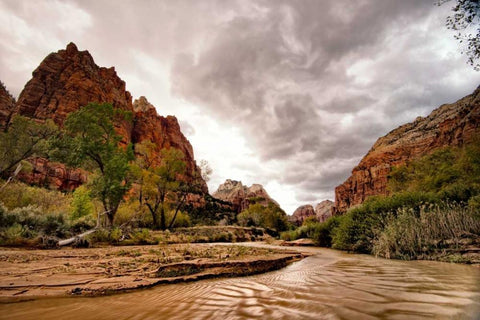 Muddy Waters Black Ornate Wood Framed Art Print with Double Matting by Head, Danny