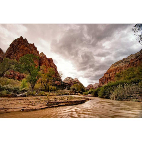 Muddy Waters White Modern Wood Framed Art Print by Head, Danny