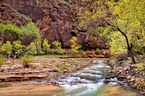 Zion Autumn I Black Ornate Wood Framed Art Print with Double Matting by Head, Danny