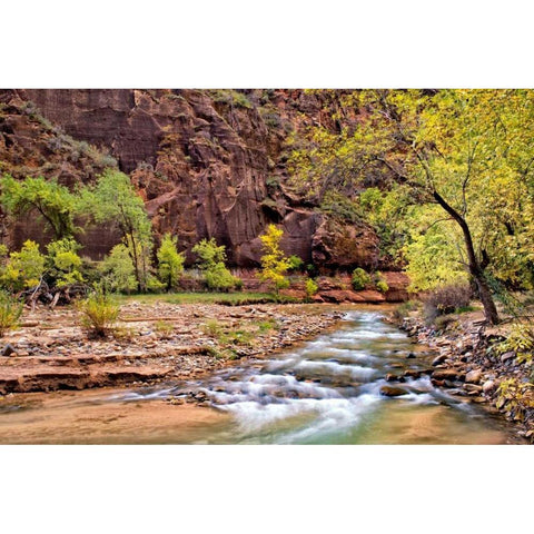 Zion Autumn I Black Modern Wood Framed Art Print with Double Matting by Head, Danny