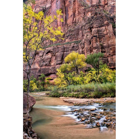 Zion Autumn II Black Modern Wood Framed Art Print with Double Matting by Head, Danny