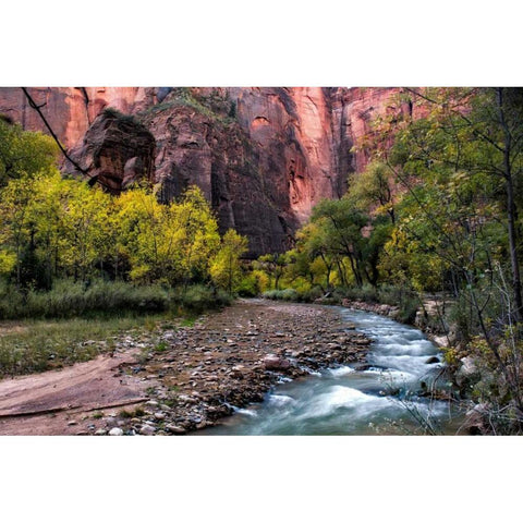 Looking Upstream I Black Modern Wood Framed Art Print by Head, Danny