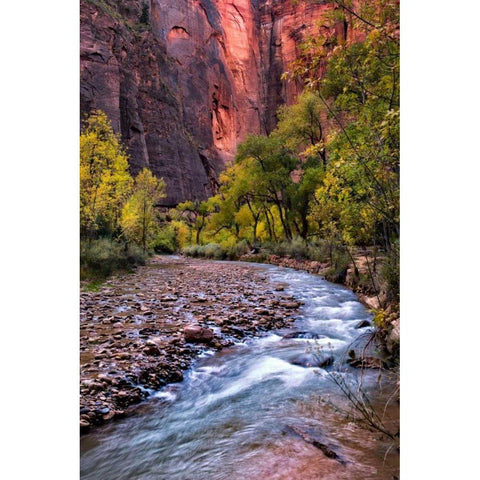 Looking Upstream II Gold Ornate Wood Framed Art Print with Double Matting by Head, Danny