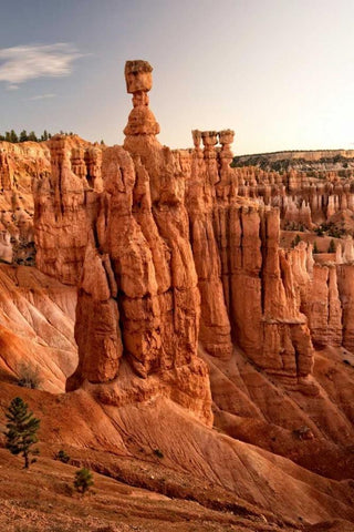 Thors Hammer Black Ornate Wood Framed Art Print with Double Matting by Head, Danny