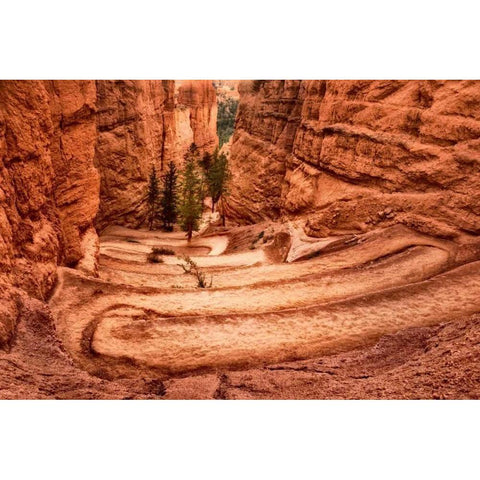 The Switchbacks White Modern Wood Framed Art Print by Head, Danny