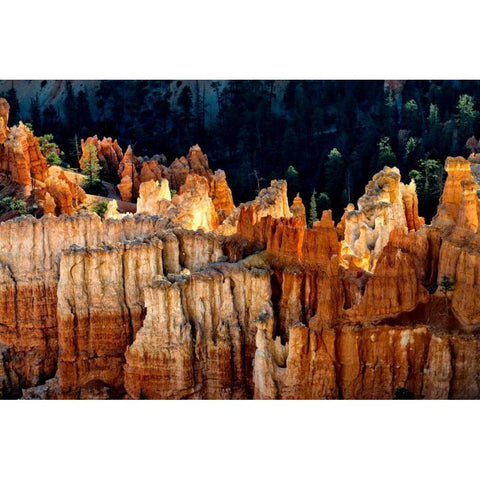 Sun Bath I White Modern Wood Framed Art Print by Head, Danny