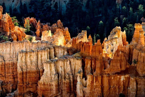 Sun Bath I White Modern Wood Framed Art Print with Double Matting by Head, Danny