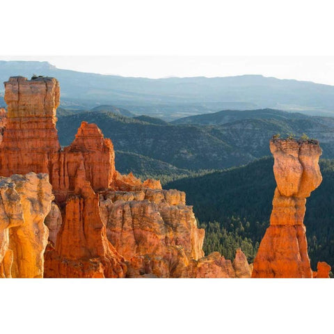 On the Rocks, Utah Black Modern Wood Framed Art Print with Double Matting by Head, Danny