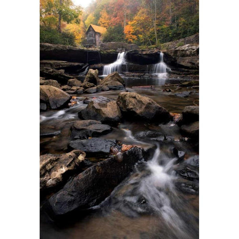 Glade Creek White Modern Wood Framed Art Print by Head, Danny