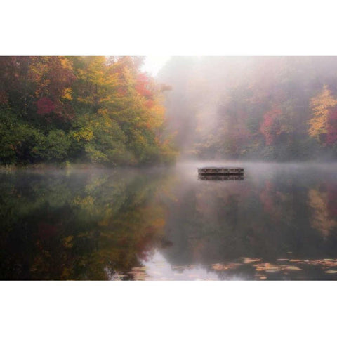Mist on the Lake Gold Ornate Wood Framed Art Print with Double Matting by Head, Danny