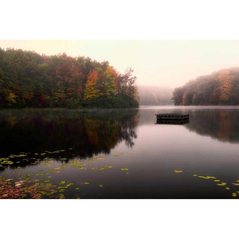 Still of the Lake Gold Ornate Wood Framed Art Print with Double Matting by Head, Danny