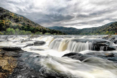 Who Flushed Black Ornate Wood Framed Art Print with Double Matting by Head, Danny