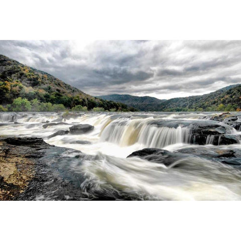 Who Flushed Black Modern Wood Framed Art Print with Double Matting by Head, Danny