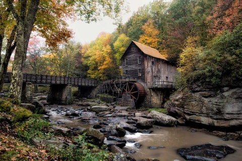 Glade Creek Mill Black Ornate Wood Framed Art Print with Double Matting by Head, Danny