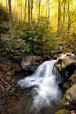 Spilled Milk Black Ornate Wood Framed Art Print with Double Matting by Head, Danny