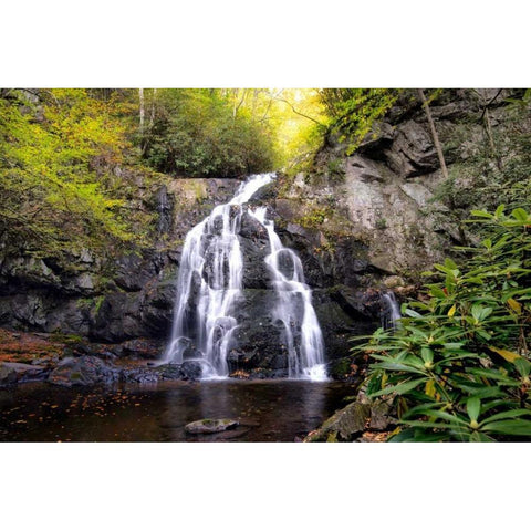 Spruce Flat Falls Black Modern Wood Framed Art Print with Double Matting by Head, Danny