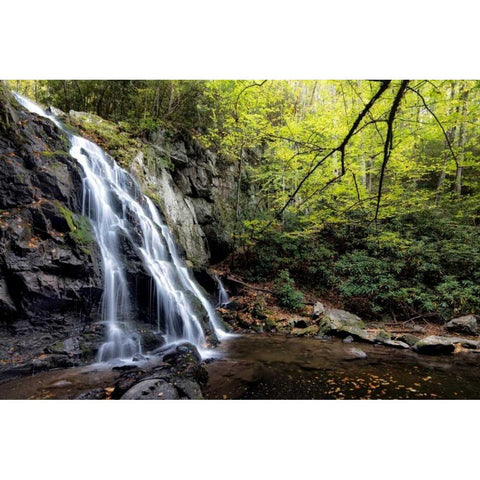 Spruce Flat Falls at Morning Black Modern Wood Framed Art Print with Double Matting by Head, Danny