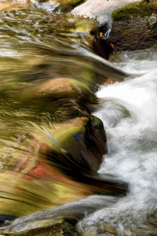 Water Abstract I White Modern Wood Framed Art Print with Double Matting by Head, Danny