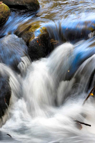 Water Abstract II Black Ornate Wood Framed Art Print with Double Matting by Head, Danny