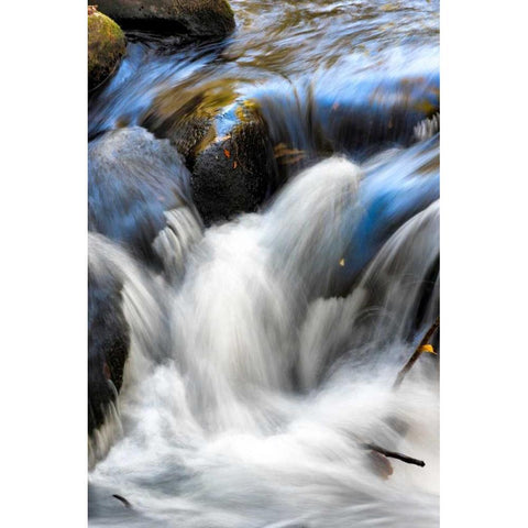Water Abstract II Black Modern Wood Framed Art Print by Head, Danny