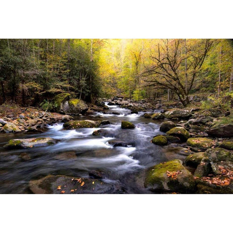 Nightfall on Tremont I Gold Ornate Wood Framed Art Print with Double Matting by Head, Danny