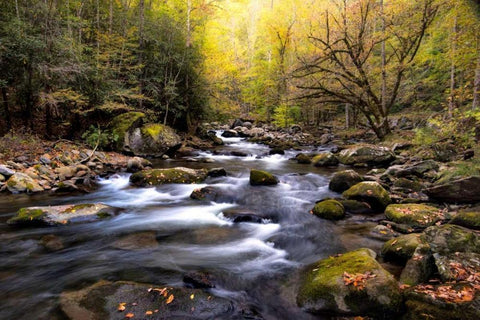 Nightfall on Tremont I Black Ornate Wood Framed Art Print with Double Matting by Head, Danny