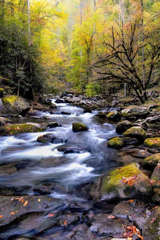 Nightfall on Tremont II Black Ornate Wood Framed Art Print with Double Matting by Head, Danny