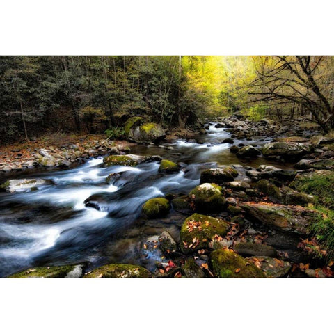 Nightfall Closes In Black Modern Wood Framed Art Print with Double Matting by Head, Danny