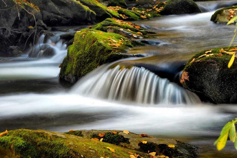 Close to Nature White Modern Wood Framed Art Print with Double Matting by Head, Danny