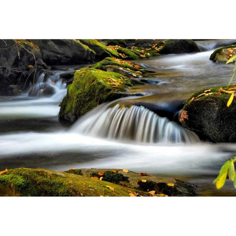 Close to Nature Black Modern Wood Framed Art Print by Head, Danny