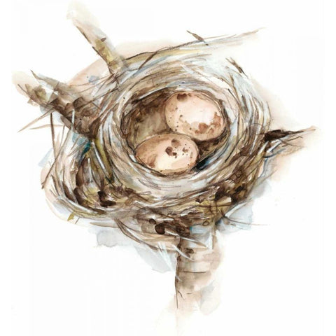 Bird Nest Study I White Modern Wood Framed Art Print by Harper, Ethan