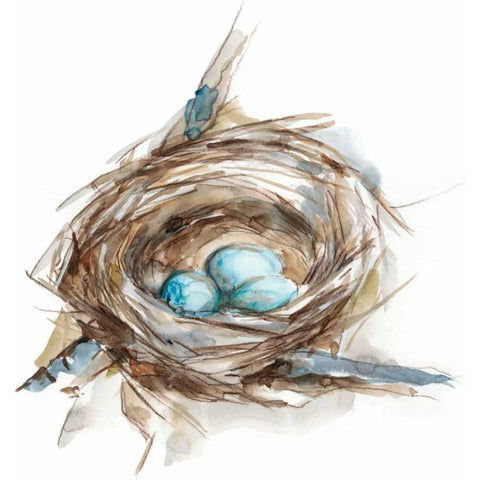 Bird Nest Study II Black Modern Wood Framed Art Print by Harper, Ethan