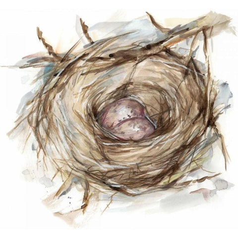 Bird Nest Study IV Gold Ornate Wood Framed Art Print with Double Matting by Harper, Ethan