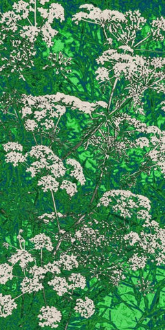 Scattered Lace Panel II Black Ornate Wood Framed Art Print with Double Matting by Burghardt, James